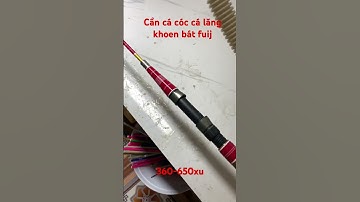 Cần câu thủ công cá  cóc cá lăng