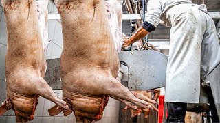 Incredible modern pig farming technology between EU vs Asia. Fastest pork slaughter &amp; cutting line