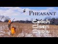 Pheasant {Catch Clean Cook} Kansas 2018