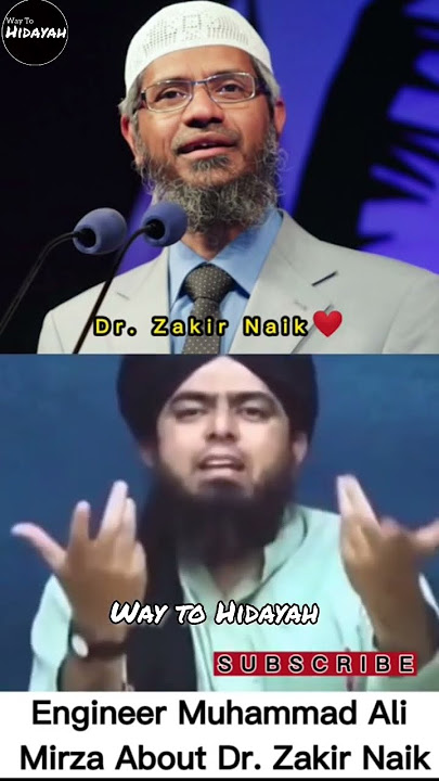 Engineer Muhammad Ali Mirza About Dr Zakir Naik