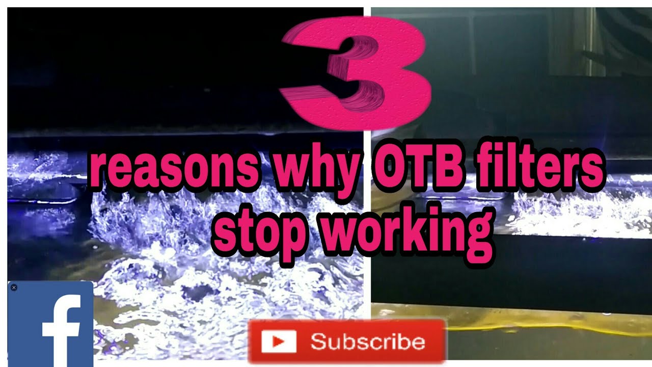 Only 3 reasons why HOB filters stop working.