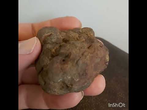 ۲۷ اکتبر ۲۰۲۴