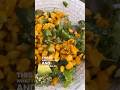 Mac & Cheese Salad 🥗 | hot for food #Shorts
