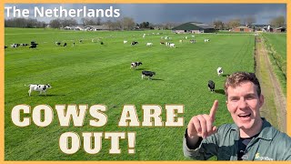 The COWS go OUTSIDE! -&- Roughening the Grids - Vlog 1 NEW Farm.
