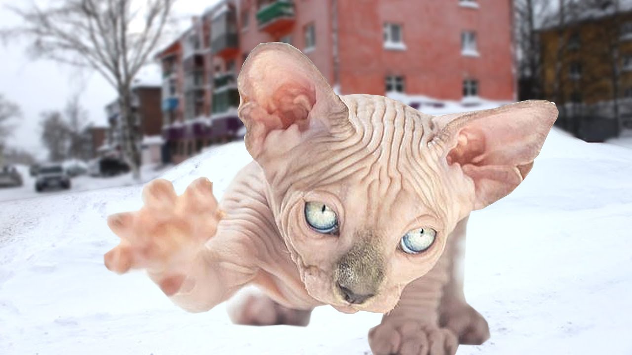 Он замерзал на улице, но в последний момент