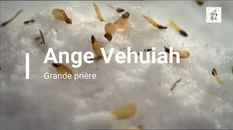 Nan Nan Back Skip Navigation Search Search Sign In Play All Grande Priere Des 72 Anges De La Kabbale 76 Videos 8 427 Views Last Updated On May 14 Nos Anges Gardiens Emissaires Venus De L Au Dela Gardiens De L Ordre Divin