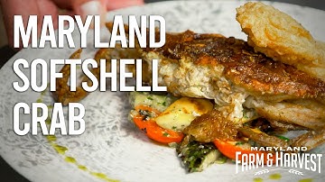 A Maryland Soft Shell Crab Recipe | Farm to Skillet