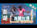 台灣第一等【世界第一海鱺牧場 "海中軍艦"兇猛難征服】澎湖_精選版