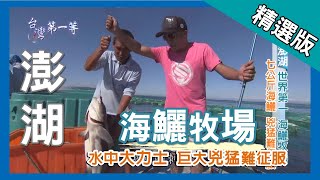 台灣第一等【世界第一海鱺牧場 '海中軍艦'兇猛難征服】澎湖_精選版