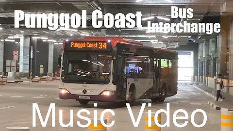 "Paradise" - Punggol Coast Bus Interchange First Day of Operations | Music Video