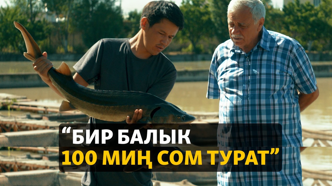 Балыктан миллион тапкандар | ДАНИСТЕ