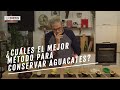 EL COMIDISTA | ¿El truco definitivo para conservar el aguacate?