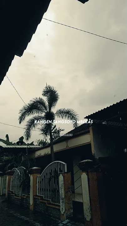 COCOK UNTUK BUAT STORY WA/30 DETIK // SALAM TRESNO.