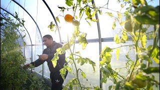 UConn Extension is Growing Food and Health with the Mashantucket Pequot Tribal Nation
