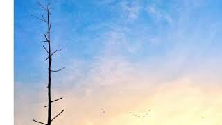PAINT -The Paper Kites (Lyrics video)