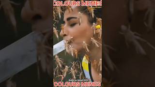 Khatron Ki Khiladi Season 14 Niyatii Stunt