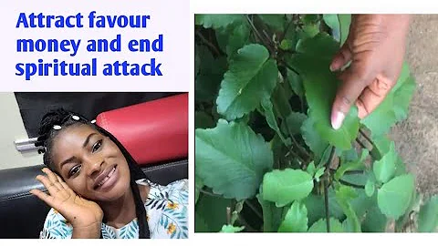 If you know this Miracle Leaf you will get anything you want