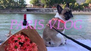 Eng) 🇫🇷 Paris Vlog - 센느강 피크닉, 생일 파티, 프렌치불독, 파리 랜선 여행 같이하실래요? l 파리 주말 일상 브이로그