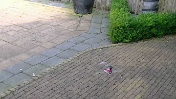 Blade mcpx first hover