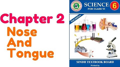 Nose and Tongue, Sense Organs, Chapter 2,  Science 6