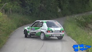 Rallye de la Espina 2024 | SHOW & MISTAKES | BGFVIDEO.es