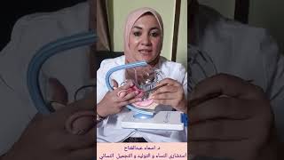 الرحم المقلوب و عدم الانجاب .. حقيقة أم وهم ؟!!