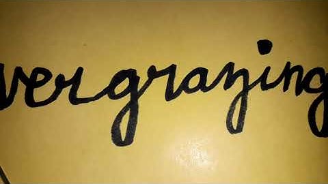 Class 4 ICSE  Social studies Lesson 7 part 2