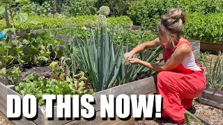 Do this NOW in the garden so you will be successful // Self Sufficient // Food for an ENTIRE YEAR.