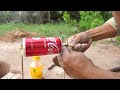 Amazing build underground parrot trap using plastic bottle with paper how to make bird trap