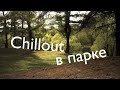 Chillout в парке. iPhone X, Moment anamorphic lens.