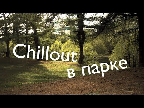 Видео: Chillout в парке. iPhone X, Moment anamorphic lens.