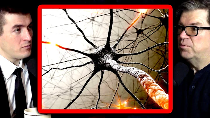 Is AI just statistics? | Yann LeCun and Lex Fridman