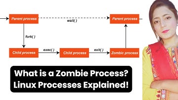 What is a Zombie Process? Linux Processes Explained!