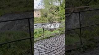 Peaceful Walk in Edinburgh 🌿