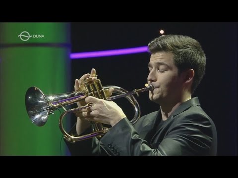 J.S Bach - Air "on the G string" - Tamás Pálfalvi - Péter Dobszay