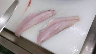 どんこの肝たたき（肝あえ）お魚王子特製