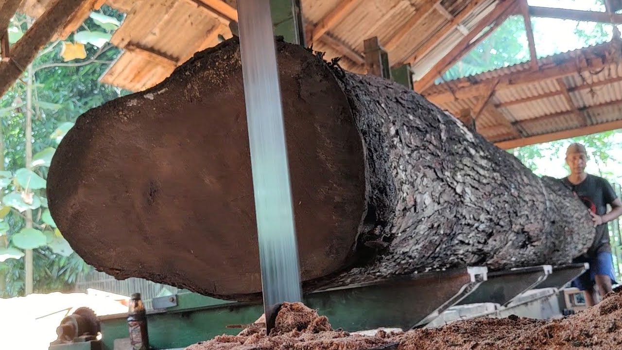 The process of sawing large logs preserves the beauty of decades-old ...