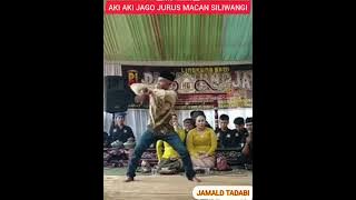 AKI AKI JAGO JURUS MACAN SILIWANGI