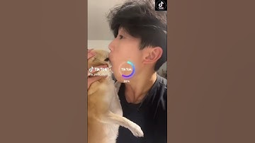 Anime-ify Your Videos The AI Filter Trend part 6 #trending # trend #tiktok #compilation #AI #shorts
