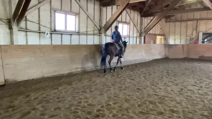 Barbara Riley riding Final Chapter (T-Bone) WT wes...