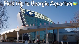 Field Trip To Georgia Aquarium