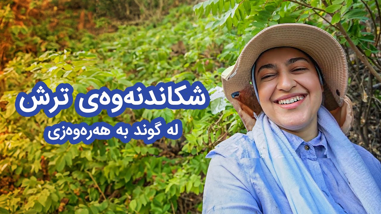 کیژی دێهات لە هەرەوەزی ترش شکاندنەوەی هاوینی ٢٠٢٤