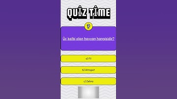 Zor Sorular 014 / Beyin Yakan Sorular / Genel Kültür Soruları