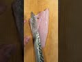 Can you guess this fish? Fish play #JapaneseChef#asmr #sushichef #KnifeSkills#FoodArt