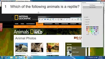 Response- Formative Questions for Transparent Background.wmv
