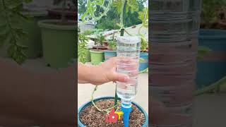 Plant Hack! Automatic Drip Irrigator 🪄 Plug & Twist for Precision Hydration 🎯