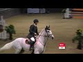 Showjumping Accumulator with Joker Class Solihull - November 2009
