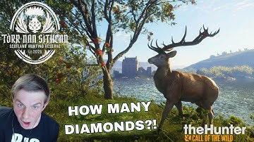 DAY 2 OF TROPHY HUNTING TORR NAN SITHEAN!! NEW SCOTLAND RESERVE!! theHunter: Call of the Wild