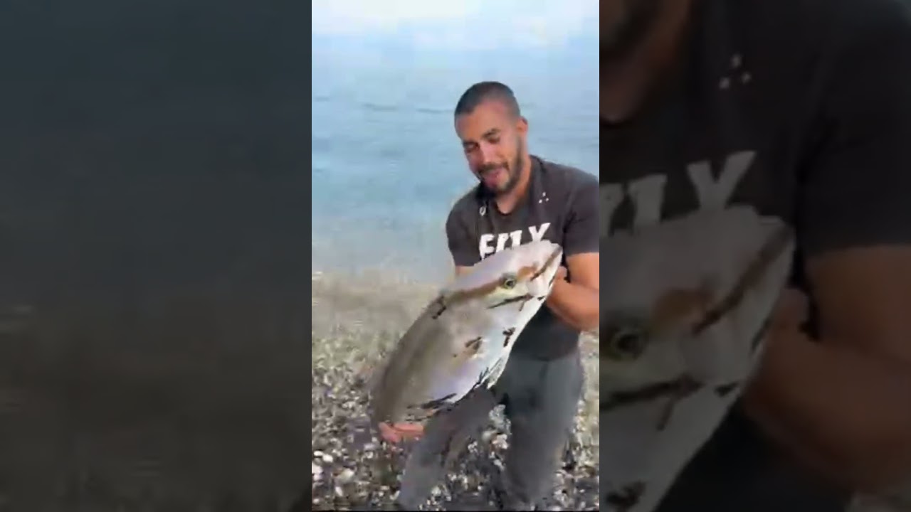 🦊ΜΑΓΙΑΤΙΚΟ🦊🦊🇬🇷🦈