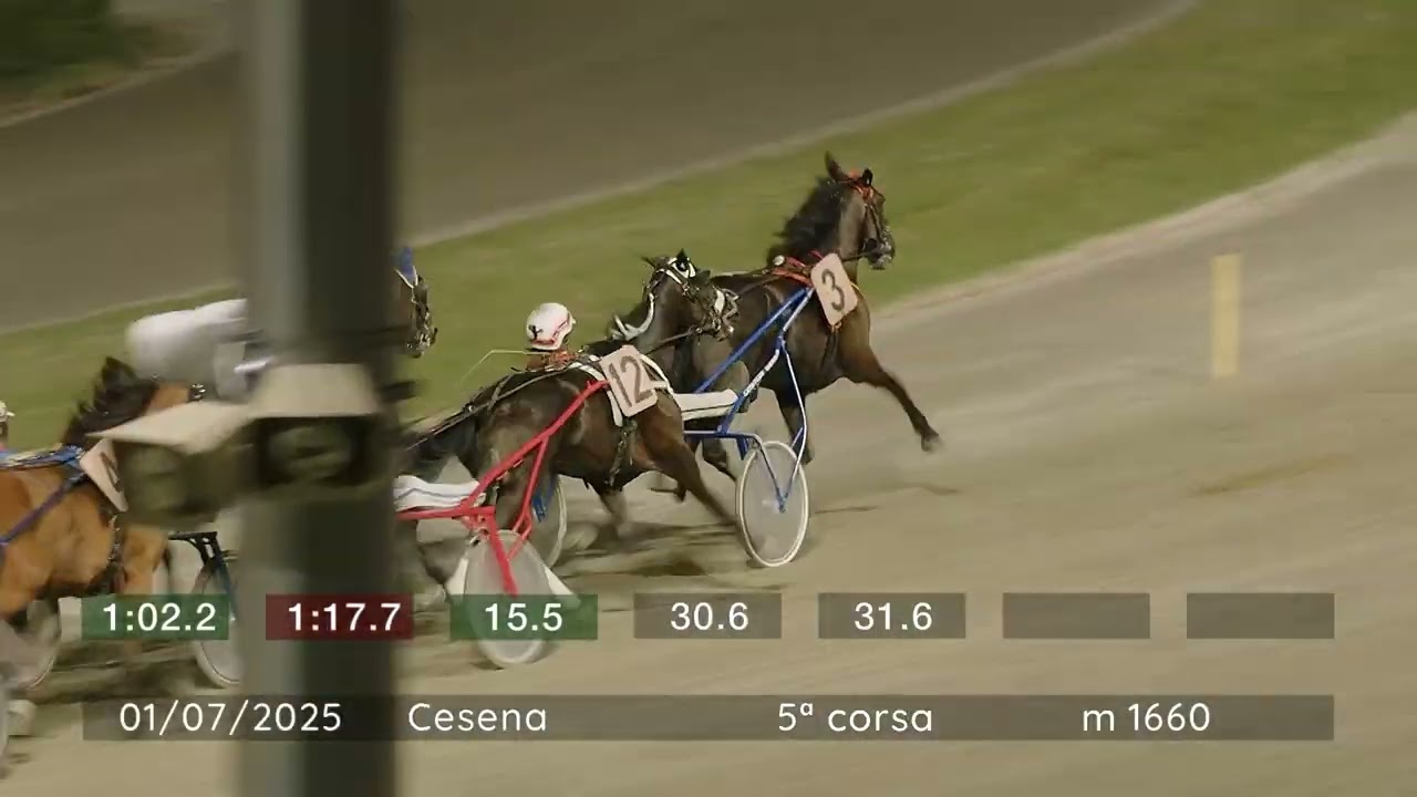 2025 07 01 | Corsa 5 | Metri 1660 | Premio Amici Pedalatori Della Settimana